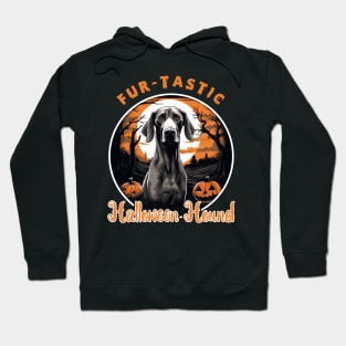 Fur-tastic Halloween Hound Dog Witch Costume Hoodie